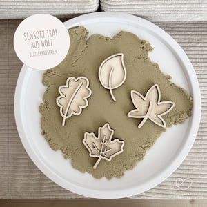 Sensory tray for filling | Leaves | Sensory play | Sensory tray | Play tray | Filling tray | Sorting tray | Plants