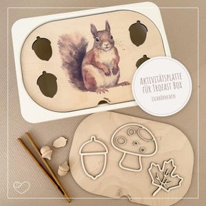 Könnte beinhalten: Aktivitätsplatte aus Holz mit Eichhörnchen-Illustration und Eichel-Aussparungen. Enthält eine separate Holzplatte mit Eichel-, Pilz- und Blattformen. Der Text auf dem Etikett lautet "AKTIVITÄTSPLATTE FÜR TROFAST BOX Eichhörnchen."