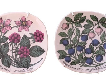 Vintage Arabia of Finland Botanial Art Plate Esteri Tomula // Set of 2 rubis articus & vaccinium myrtillus