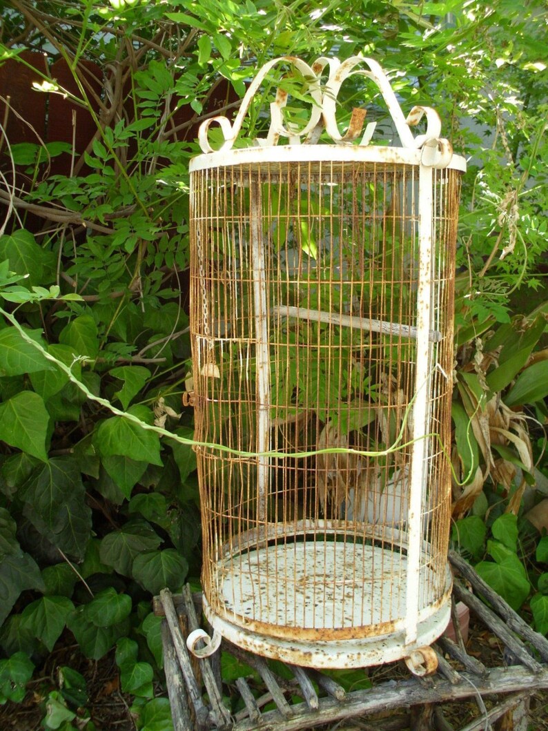 Old Metal Birdcage // Large Vintage Wrought Iron Bird Parrot Etsy