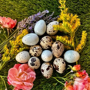 May include: An overhead shot of a collection of eggs, some speckled and some solid light blue, arranged with pink roses, yellow flowers, and lavender sprigs on a green surface. The eggs vary in size and have brown speckles.