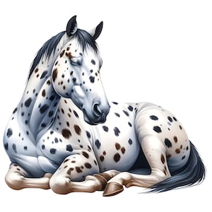 Clipart Appaloosa Horse | 14 fichiers JPG de haute qualité | Lot élégant | Décoration de ferme |Art de race de cheval | Imprimables | cheval