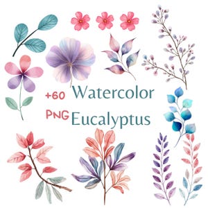 Peut inclure: Éléments floraux et d'eucalyptus à l'aquarelle dans les tons rose, violet, bleu et vert. L'image comprend diverses feuilles, fleurs et branches. Le texte sur l'image indique "+60 Watercolor PNG Eucalyptus."