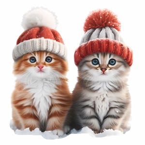 20 Adorable Kitten Clipart, Kitten in snow, Cute Cat in Snow Hat,  high PNG, Winter Cat Illustration, Kitten lover Clipart, kitten image png