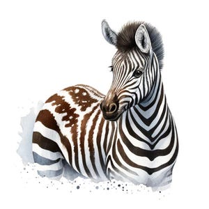 Clipart Zebra | 15 JPGs de haute qualité | Zebra élégant | Décoration de ferme | sublimation Zebra |  Illustration aquarelle Zebra | Art.