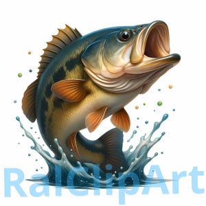 Bass Clipart 3D, Smallmouth Bass Clipart, 12 realistic bass, Jumping Smallmouth, Bass png, Bass Fishing Art, large mouth bass, aquatic life