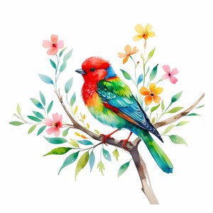 Scandinavian Birds Clipart, Floral Birds PNG, Digital download, Paper craft, Clipart Bundle, Spring Birds Clipart, commercial use, wall art