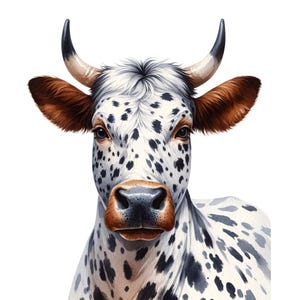 Clipart Cow| 12 modèles de haute qualité | Art de Cow| Imprimables | Utilisation commerciale, Clipart Appaloosa, aquarelle Cow, Cow Family