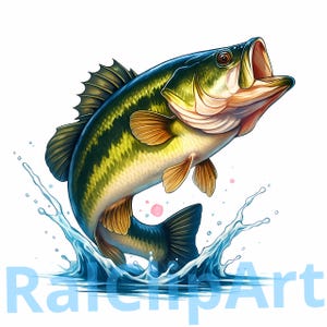 2023 baitcasting reels Shimano Curado M 200 (2023 Model)  Proadvantage.ca