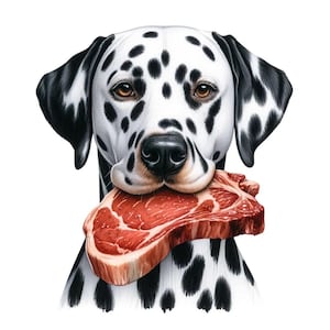 Clipart Dalmatian Dog - 12 fichiers JPG haute qualité - paquet de cliparts Dalmatien - Art mural - impressions numériques - usage Commercial