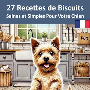 Può includere: Un cane marrone e bianco si alza sulle zampe posteriori in una cucina. Il cane sta guardando una ciotola di biscotti per cani. La ciotola è blu e ha un bordo bianco. Ci sono anche due biscotti per cani a forma di osso sul pavimento. Il testo sull'immagine dice "27 Recettes de Biscuits Saines et Simples Pour Votre Chien".