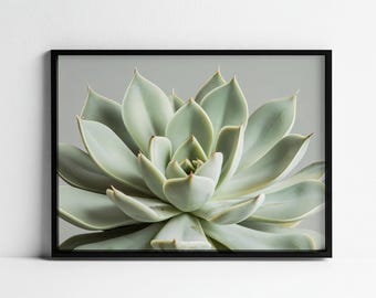 Light Green Succulent Print, Nature Photography (Digital Download)
