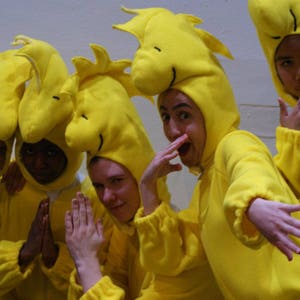 Yellow or white  jumper and head piece  inspired by the Woodstock bird  and snoopy from you are a good man Charlie Brown S,M,L