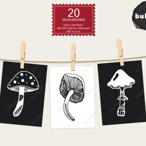 Mushrooms flash cards printable templates/Hand painted Montessori cards for babies and toddlers/Black and white high contrast sensory cards