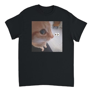 Silly Cat Meme T-Shirt | Funny Graphic Tee for Cat Lovers & Pet Owners | Cute Humor Gift Idea
