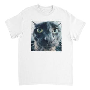 Funny Cat Meme T-Shirt | Funny Graphic Tee for Cat Lovers & Pet Owners | Cute Humor Gift Idea | Unhinged Cringe Shirt