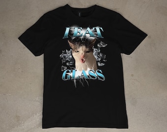 Camiseta divertida con meme de gato "Como vidrio" / Camiseta gráfica divertida para amantes de los gatos y dueños de mascotas / Idea de regalo humorística adorable / Camiseta desenfadada y vergonzosa