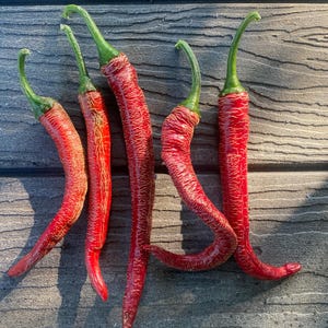 Farmer’s Market Longhorn Pepper Seeds