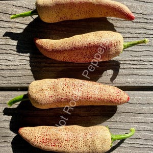 Farmer’s Market Jalapeño Pepper Seeds