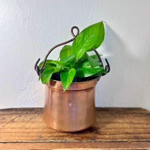 May include: A polished copper pot with a rounded base and a dark metal swing handle. The pot contains a vibrant green pothos plant with heart-shaped leaves that spill over the rim. The metal surface shows subtle horizontal texture lines.