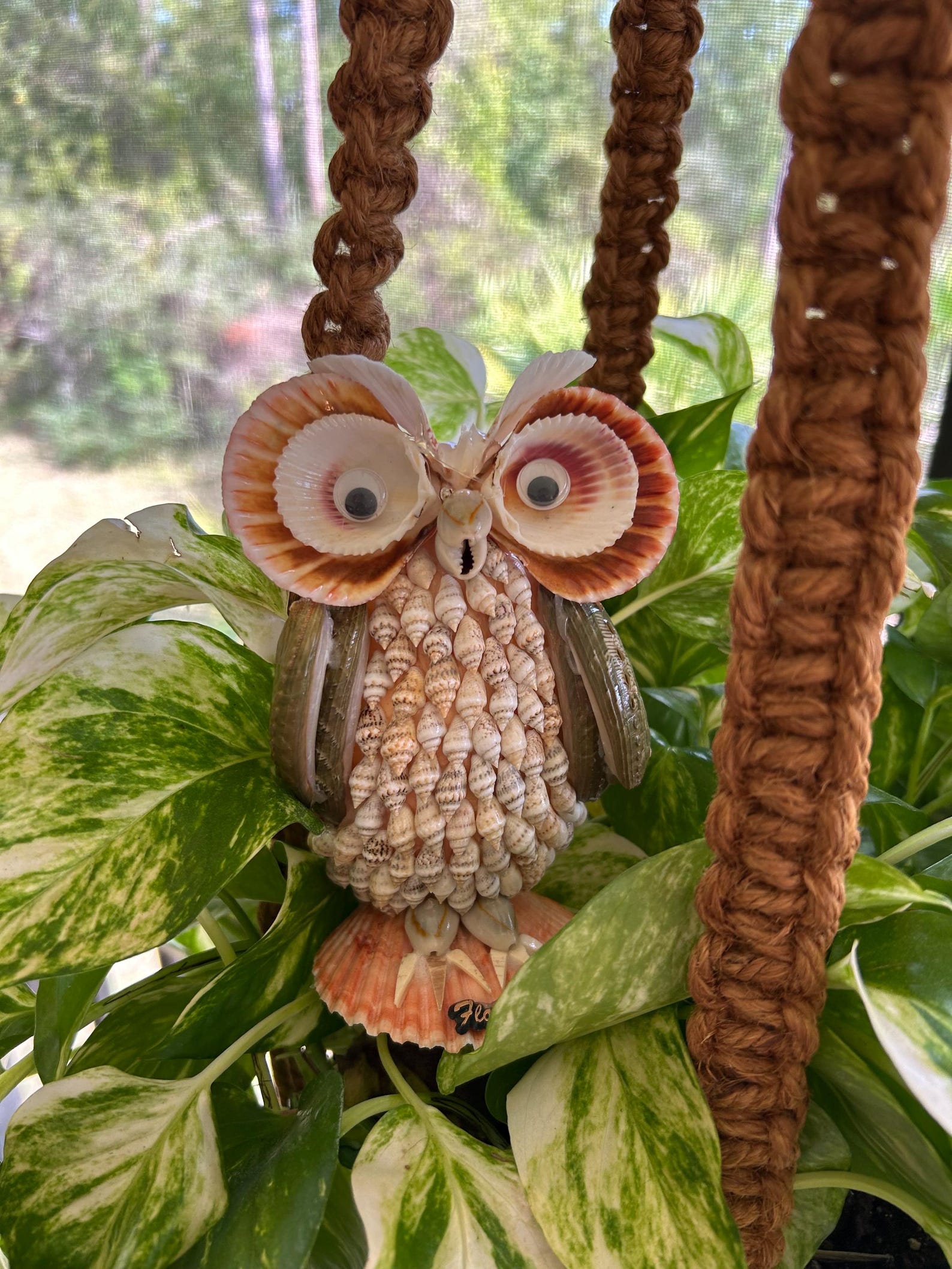 Shell Owl Seashell Souvenir Owl, Seashell Art, Vintage Shell Art, Owl Collectors ...