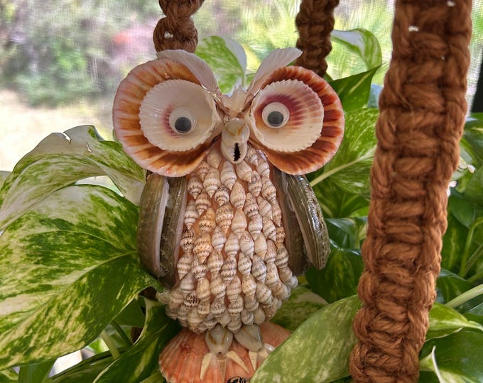 Shell Owl Seashell Souvenir Owl, Seashell Art, Vintage Shell Art, Owl Collectors ...