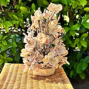 May include: A decorative arrangement of seashells in a round, light-colored container. The seashells are in various shapes and sizes, with cream and pink hues. The arrangement sits on a woven wicker surface, with green foliage in the background.