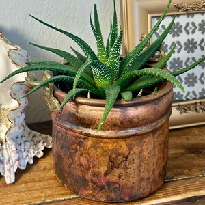 May include: A green Haworthia succulent with white speckled leaves planted in a round, hammered copper-toned metal pot. The container features a weathered, dark patina finish and small decorative gold-colored metal handles on the sides.