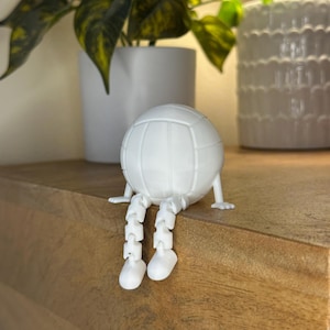 Volleyball Desk Decor - Volleyball Buddy - Fun Volleyball Gift