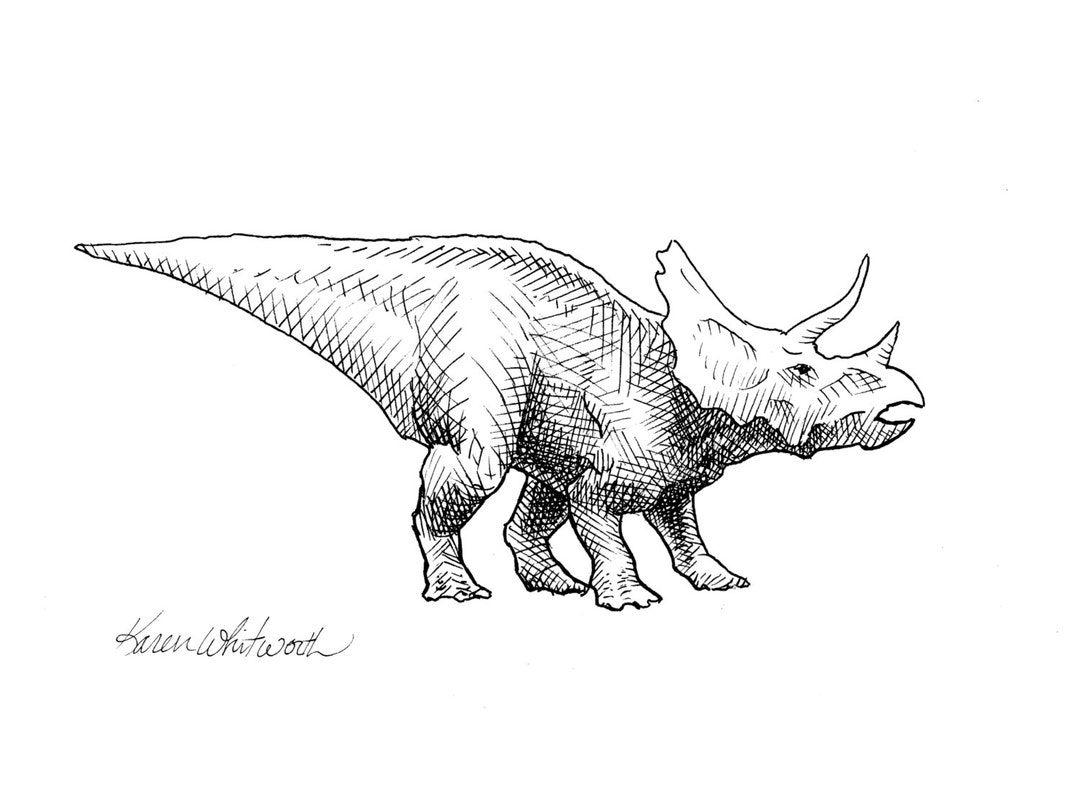 Dinosaur. Dinosaur Drawing Pencil Sketch Stock Illustration - Illustration  of animal, lizard: 61652328