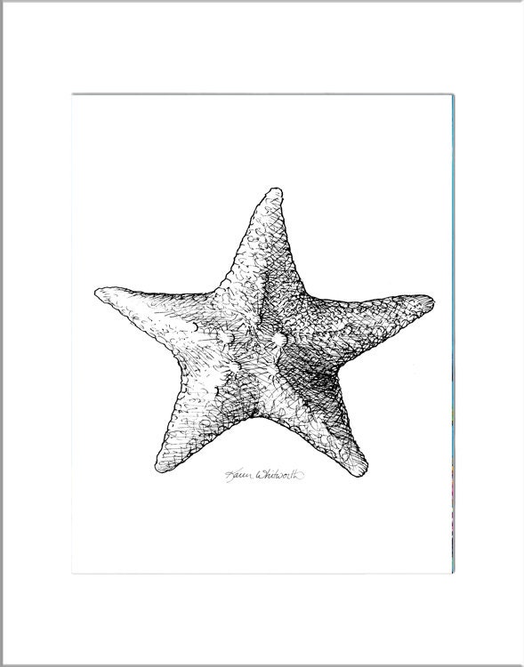 Beach Decor Starfish Wall Fine Art Print Underwater Art Etsy