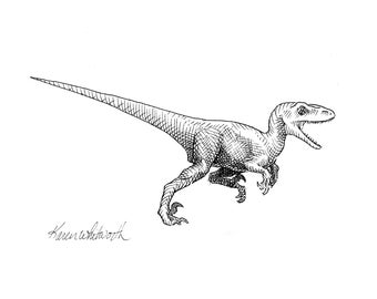 Raptor Dinosaur Decor Drawing Wall Art Prints - Velociraptor Dinosaur Print - Kids Room Black & White Science Illustration Ink Sketch