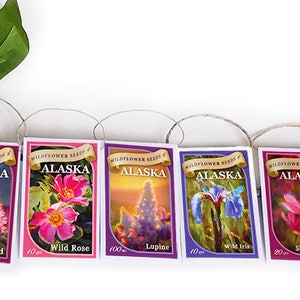 Alaska Wildflower Seed Packets Set: Forget-Me-Not, Wild Rose, Fireweed, Shooting Star, Wild Iris, Lupine, Wedding Favor Seeds