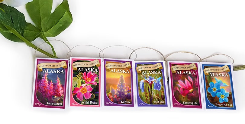 slow release plant fertilizer Fiddle Leaf Fig and House Plant Fertilizer Pellets