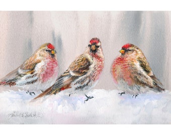 Winter Birds in the Snow Blank Greeting Card - Blank Holiday Christmas Cards With Redpoll Birds