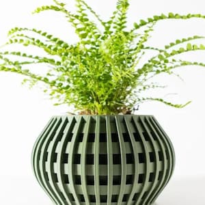 Può includere: Un vaso in ceramica verde con un motivo geometrico e una pianta di felce che cresce al suo interno.