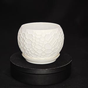 Puede incluir: Maceta de cerámica blanca con un diseño texturizado en forma de panal. La maceta es redonda y tiene una abertura ancha.