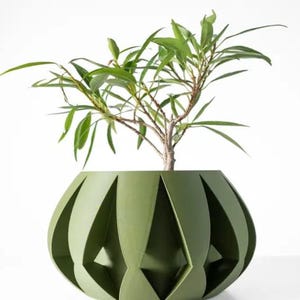 Può includere: Un vaso di fiori verde con un design geometrico. Il vaso è fatto di un materiale che sembra plastica. Una piccola pianta verde sta crescendo nel vaso.