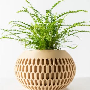 Può includere: Un vaso in ceramica beige chiaro con un motivo geometrico. Il vaso è riempito con una pianta di felce verde.