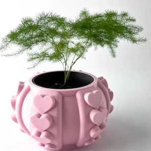 Unique 3D Printed Planter/Flower Pot with Drainage Holes, & Drip Tray.  Ecofriendly, Functional,  Modern Home Decor, PP0035 - Premium Colors