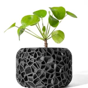 Può includere: Un vaso geometrico nero con una pianta verde frondosa al suo interno. Il vaso ha un design unico a nido d'ape 3D.