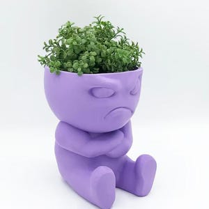 Può includere: Vaso da fiori in ceramica viola a forma di persona con un'espressione scontrosa, seduto con le braccia incrociate. Il vaso è pieno di piante verdi a foglia.