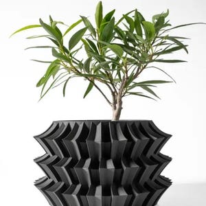 Può includere: Un vaso geometrico nero con una pianta con foglie verdi. Il vaso ha un design unico e piegato.