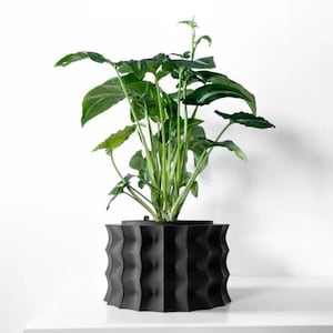 Può includere: Un vaso nero, testurizzato, geometrico con una pianta verde frondosa al suo interno. Il vaso ha un design unico e ondulato.