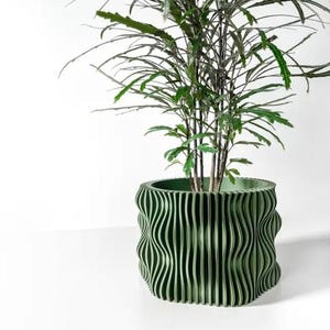 Può includere: Un vaso verde con un design ondulato e testurizzato. Una pianta verde frondosa sta crescendo all'interno del vaso.