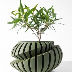 Può includere: Un vaso di fiori verde con un design geometrico unico. Il vaso è realizzato in un materiale liscio e testurizzato e ha una base larga e rotonda. Una piccola pianta verde sta crescendo nel vaso.