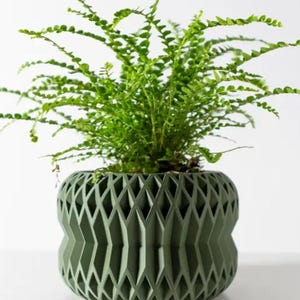 Può includere: Una pianta di felce verde in un vaso geometrico verde. Il vaso ha un design unico e testurizzato.