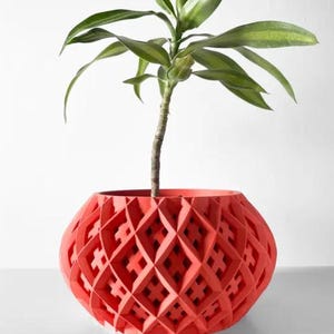May include: A red geometric planter with a plant growing out of it. The planter has a diamond pattern and is made of a smooth material.