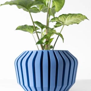 May include: A blue planter with a ribbed design, featuring a green plant with large leaves.