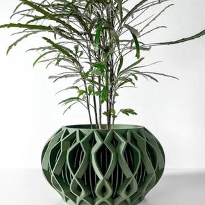May include: A green, geometric planter with a unique, intricate design. The planter is filled with a leafy green plant.